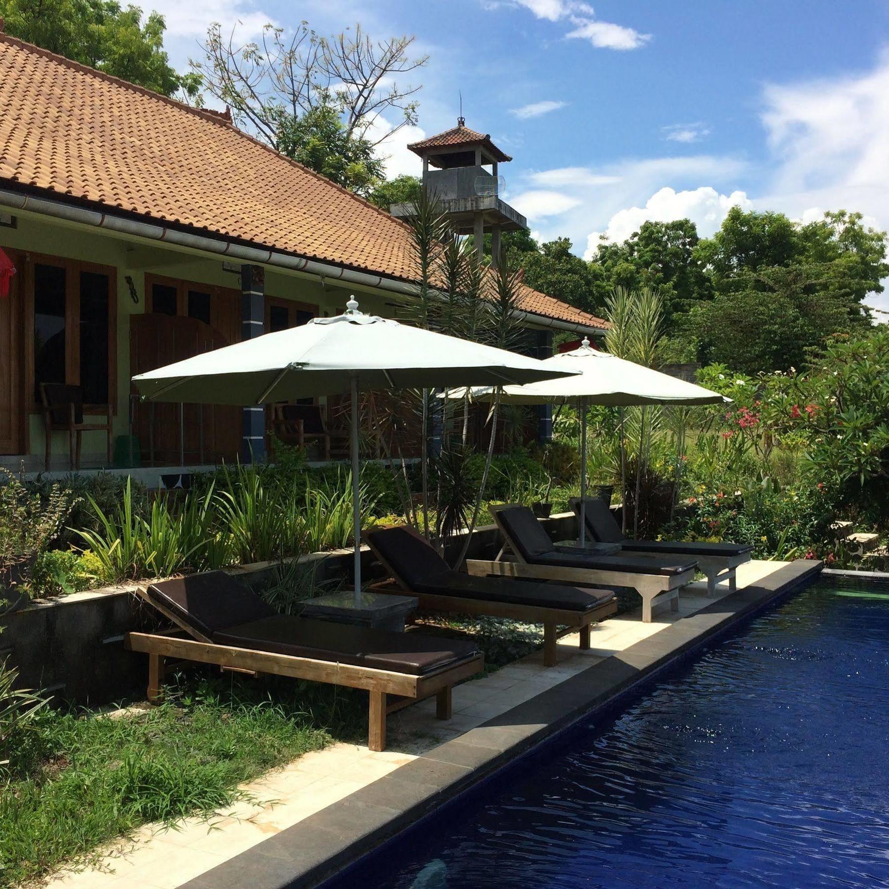 Bali Natur Lovina  Luaran gambar