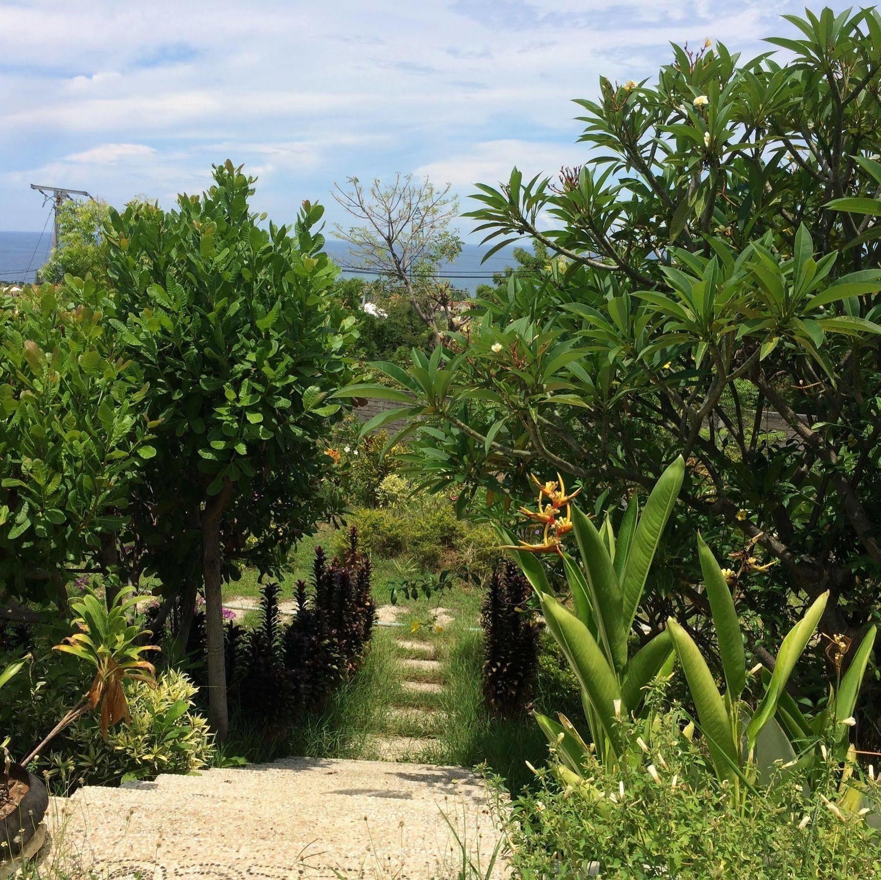 Bali Natur Lovina  Luaran gambar