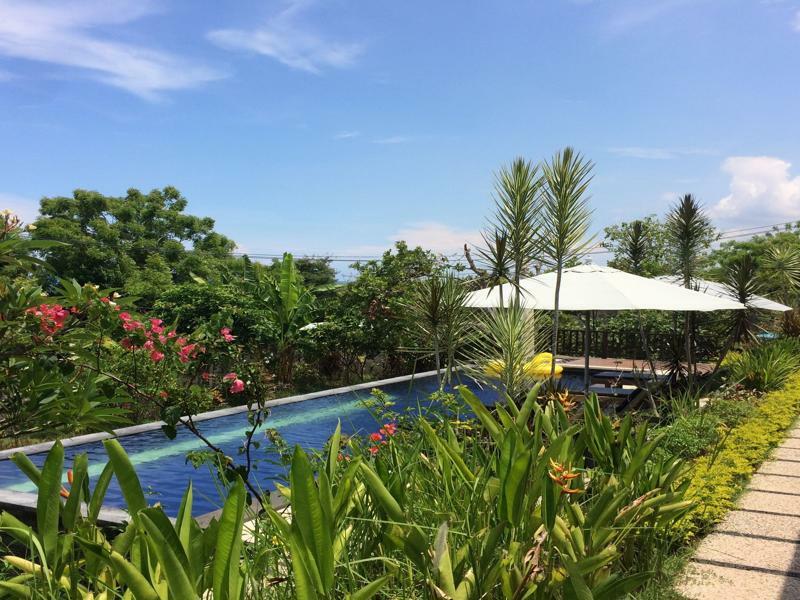Bali Natur Lovina  Luaran gambar