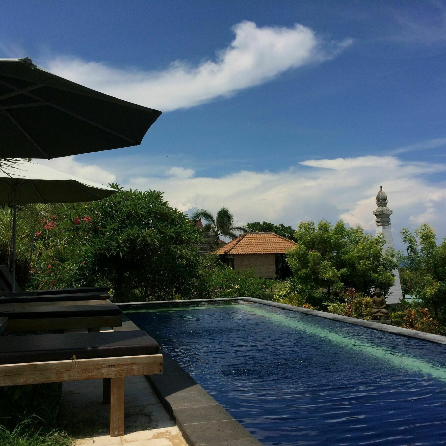 Bali Natur Lovina  Luaran gambar